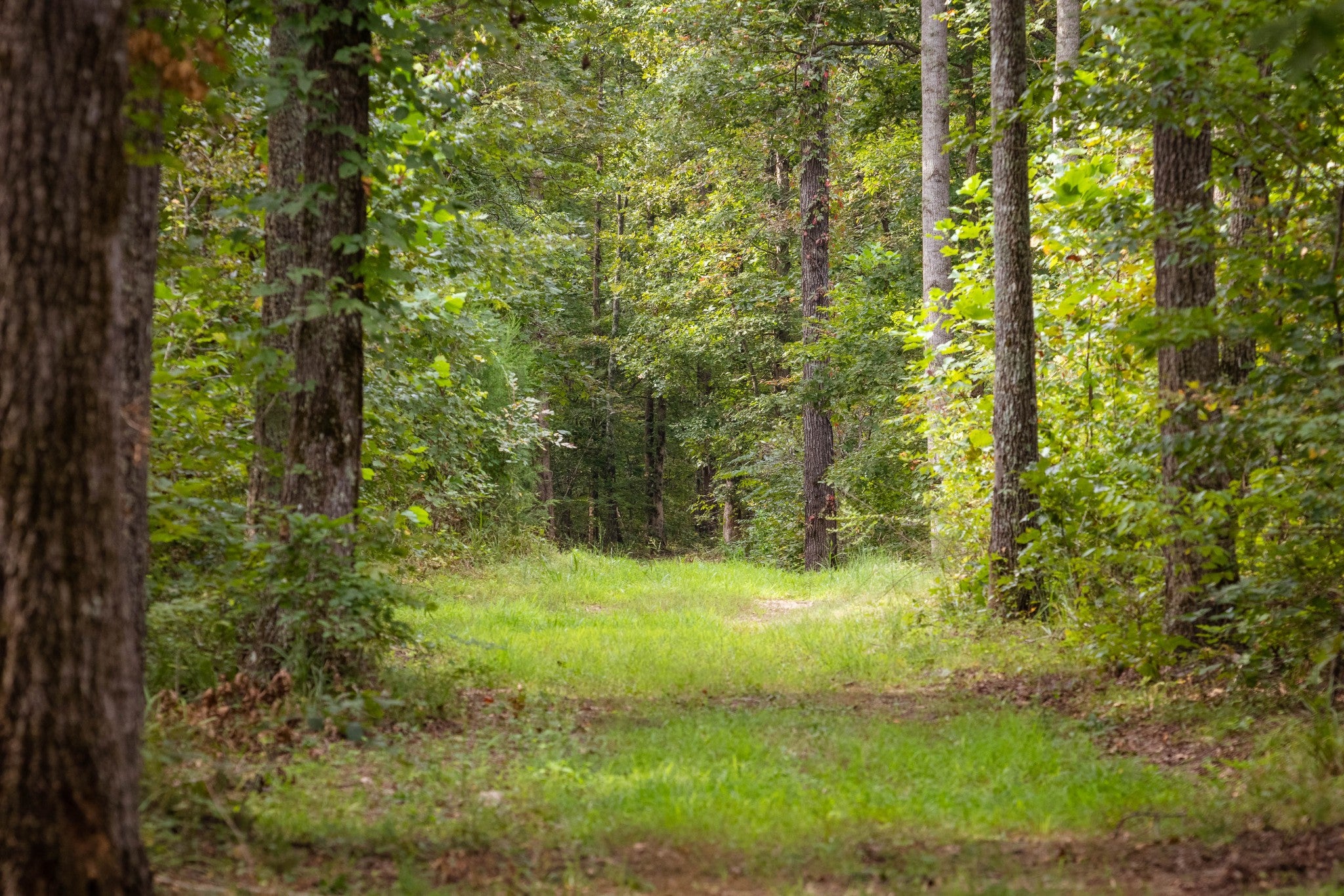 1 Ccc Road