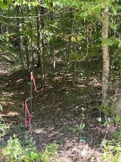 6166 Chestnut Valley Road