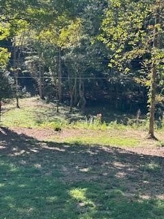 6166 Chestnut Valley Road