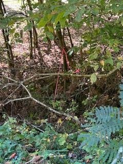 6166 Chestnut Valley Road