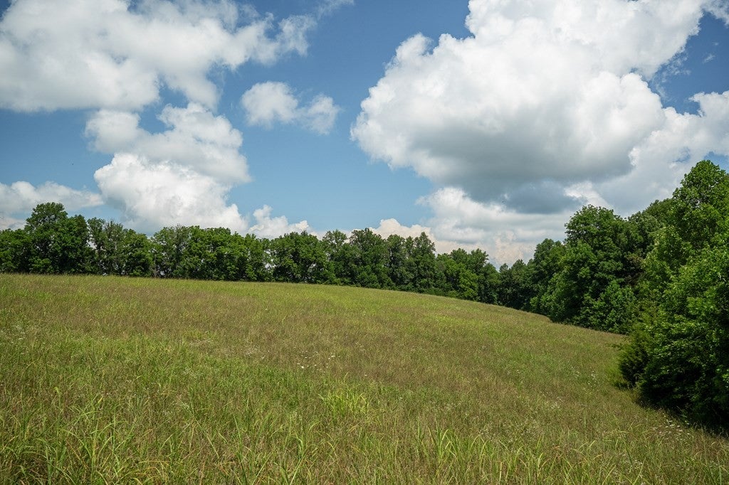 0 Blackburn Fork Rd