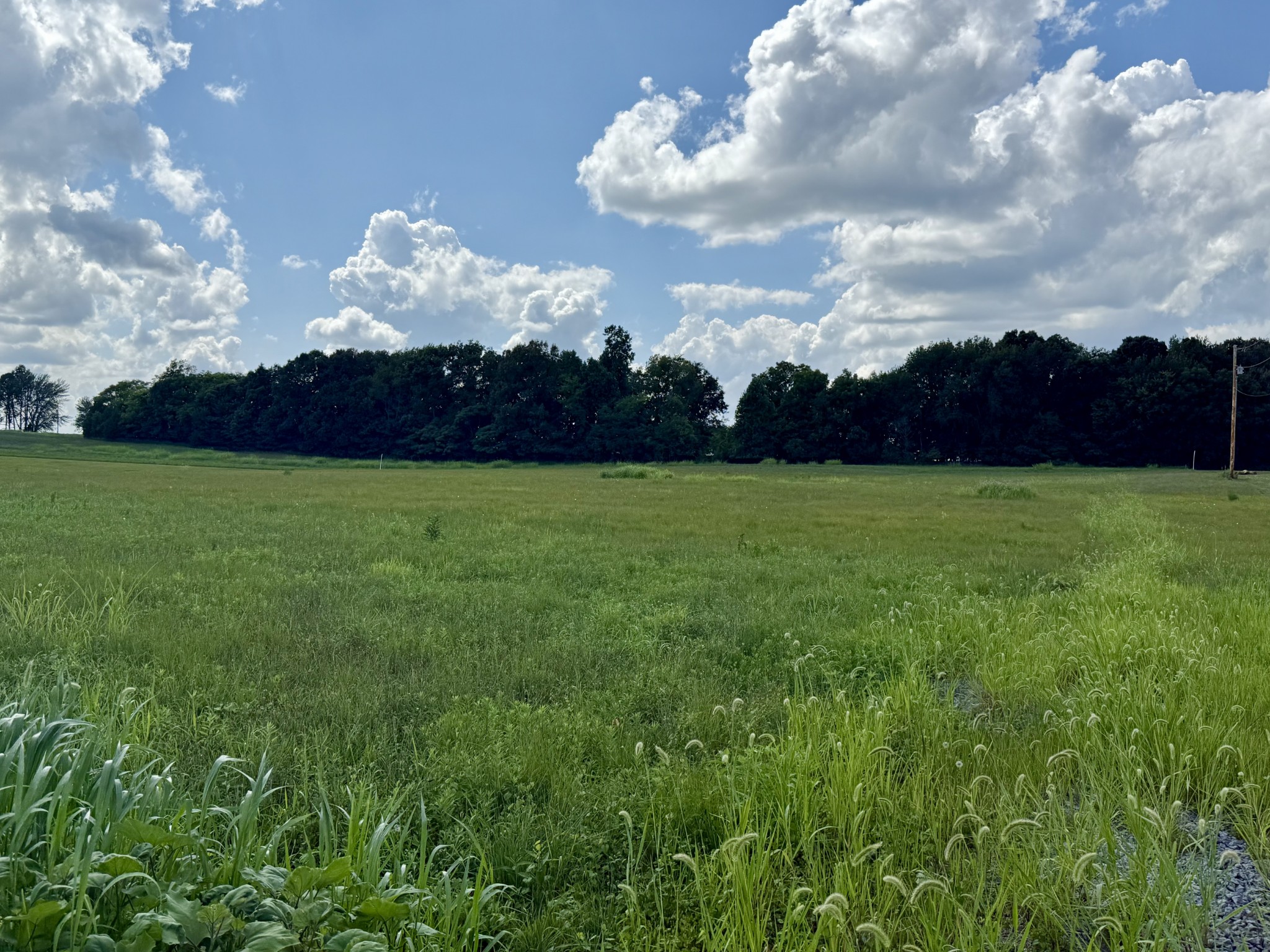165 Perdue Cemetery Rd