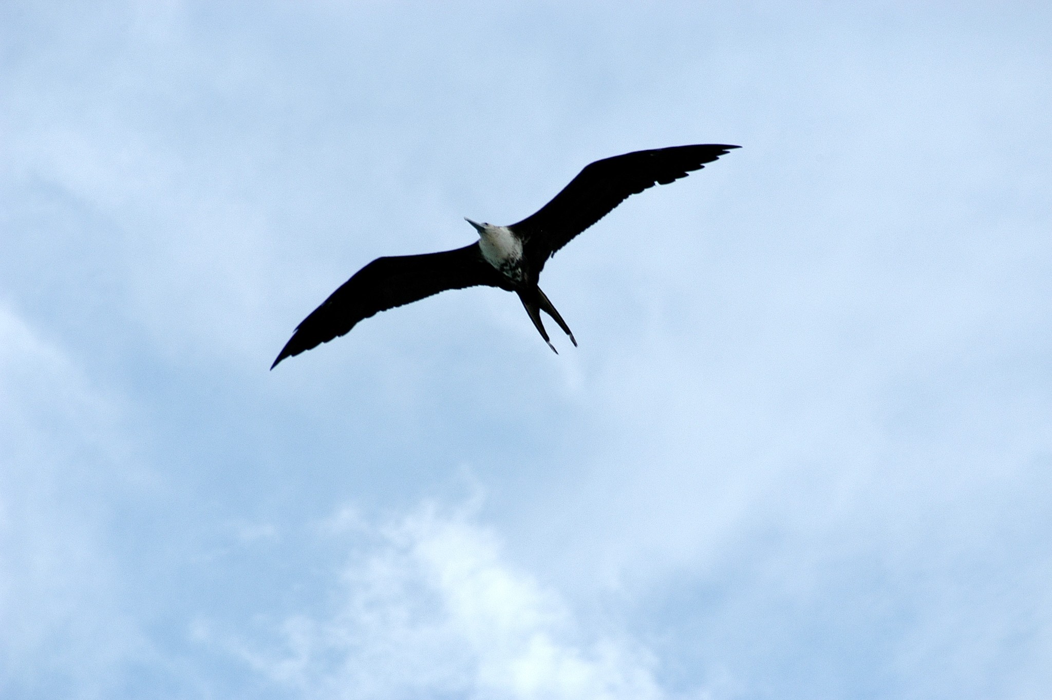 165 Perdue Cemetery Rd