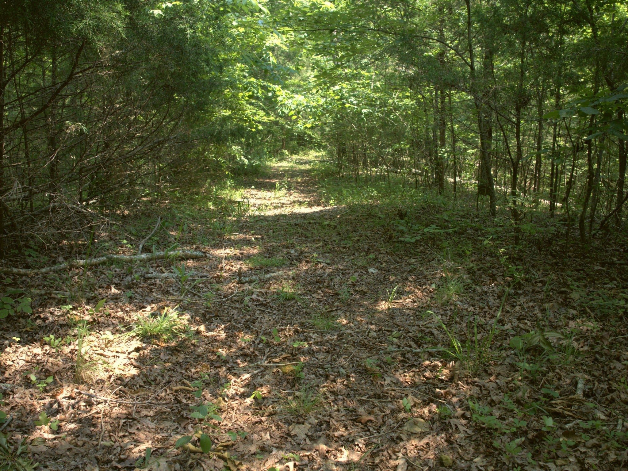 0 Cherry Farm Ln