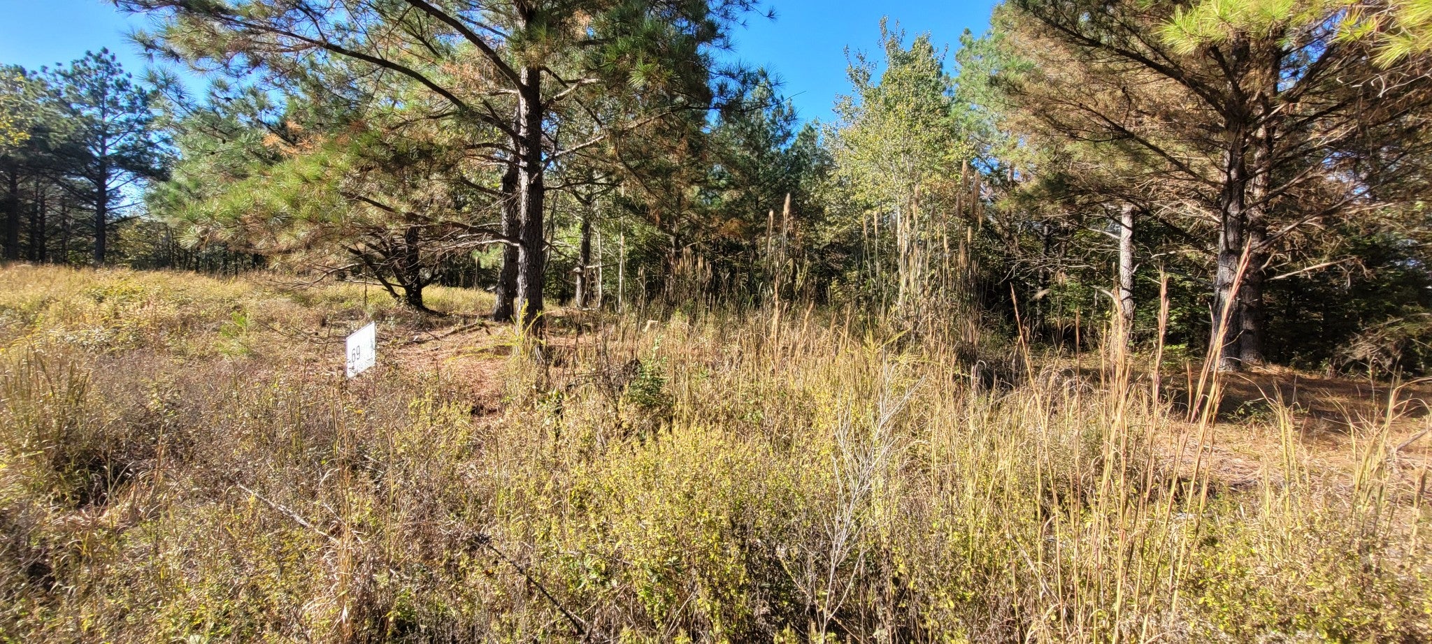 0 Saddleback Dr