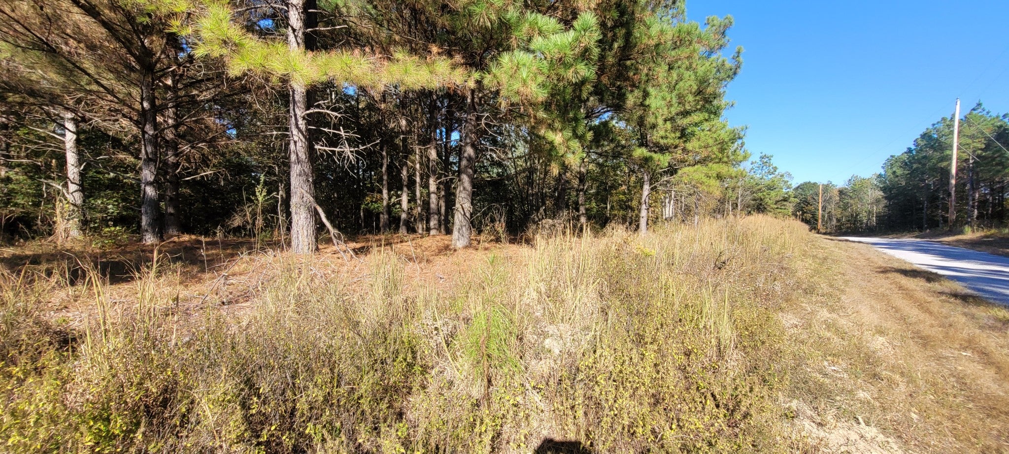 0 Saddleback Dr