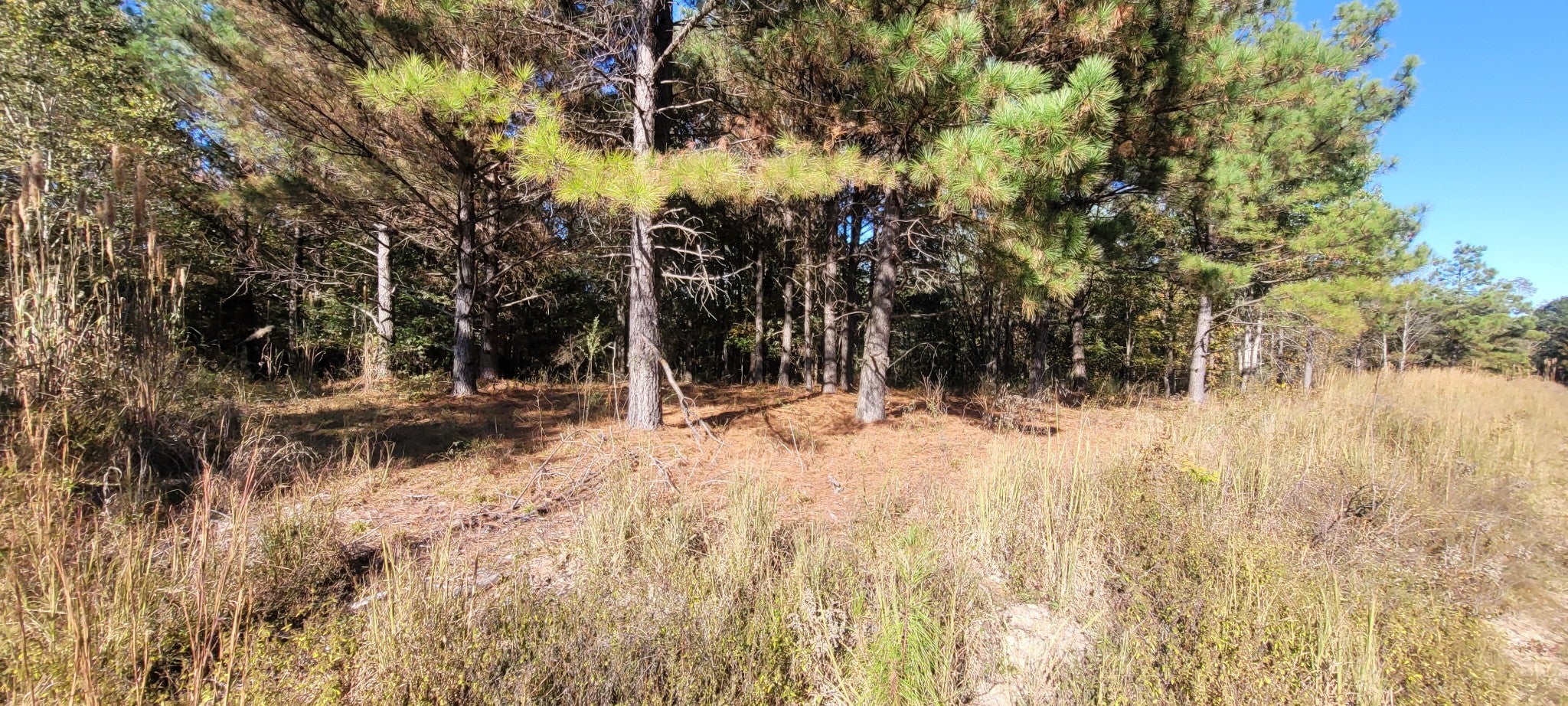 0 Saddleback Dr