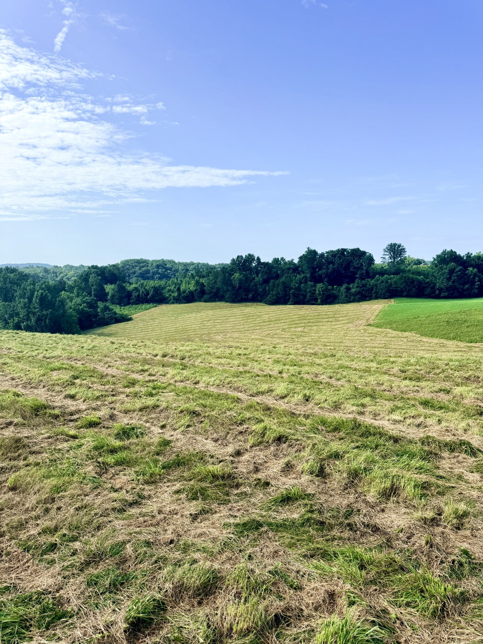 0 Allen Bend Rd