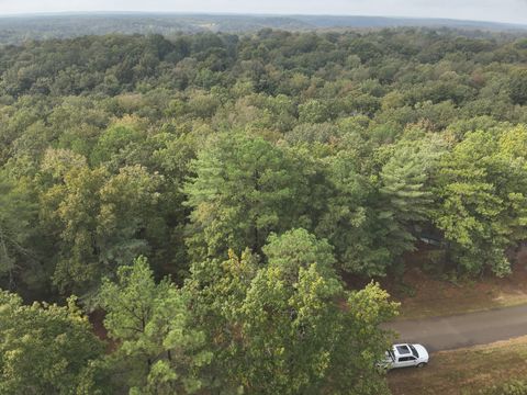 Photo of 62 Hardison Ln, Linden, TN 37096 (MLS # 3001925)