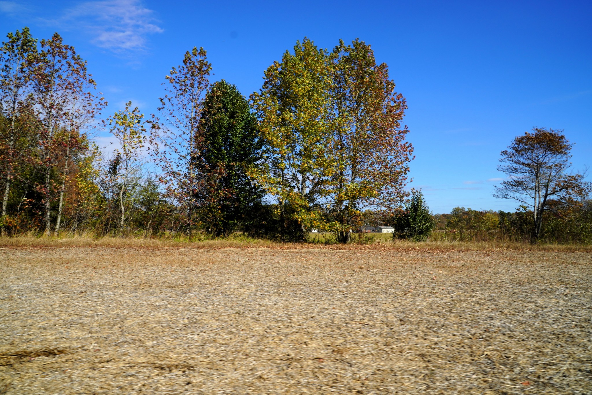 Photo 9 of 34 of 0 Lincoln Loop Rd land
