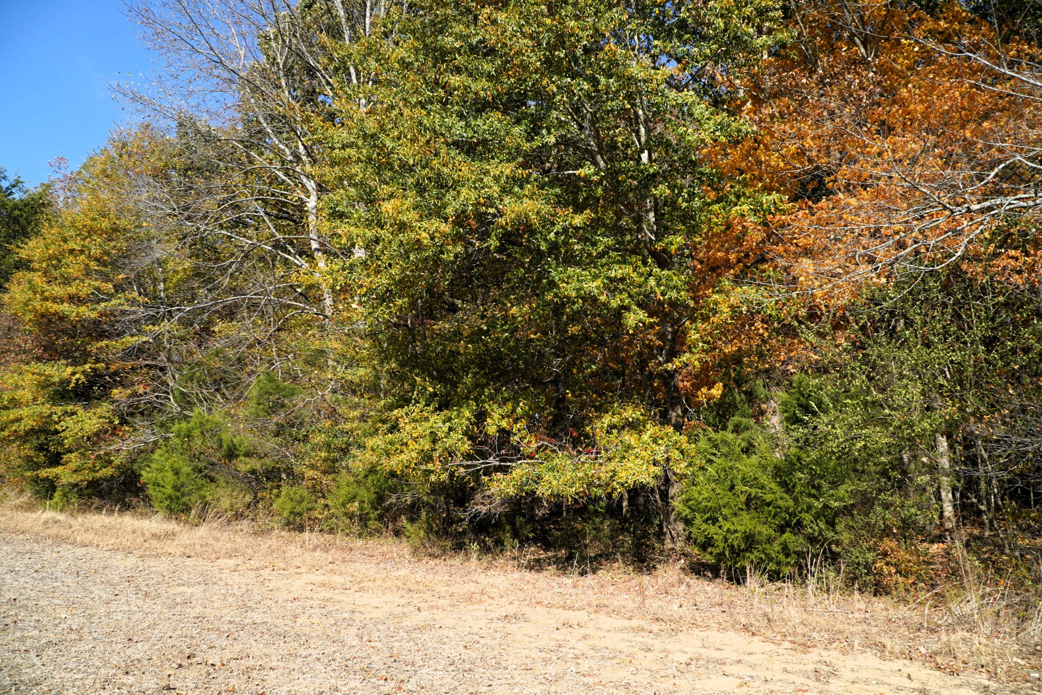 Photo 14 of 34 of 0 Lincoln Loop Rd land