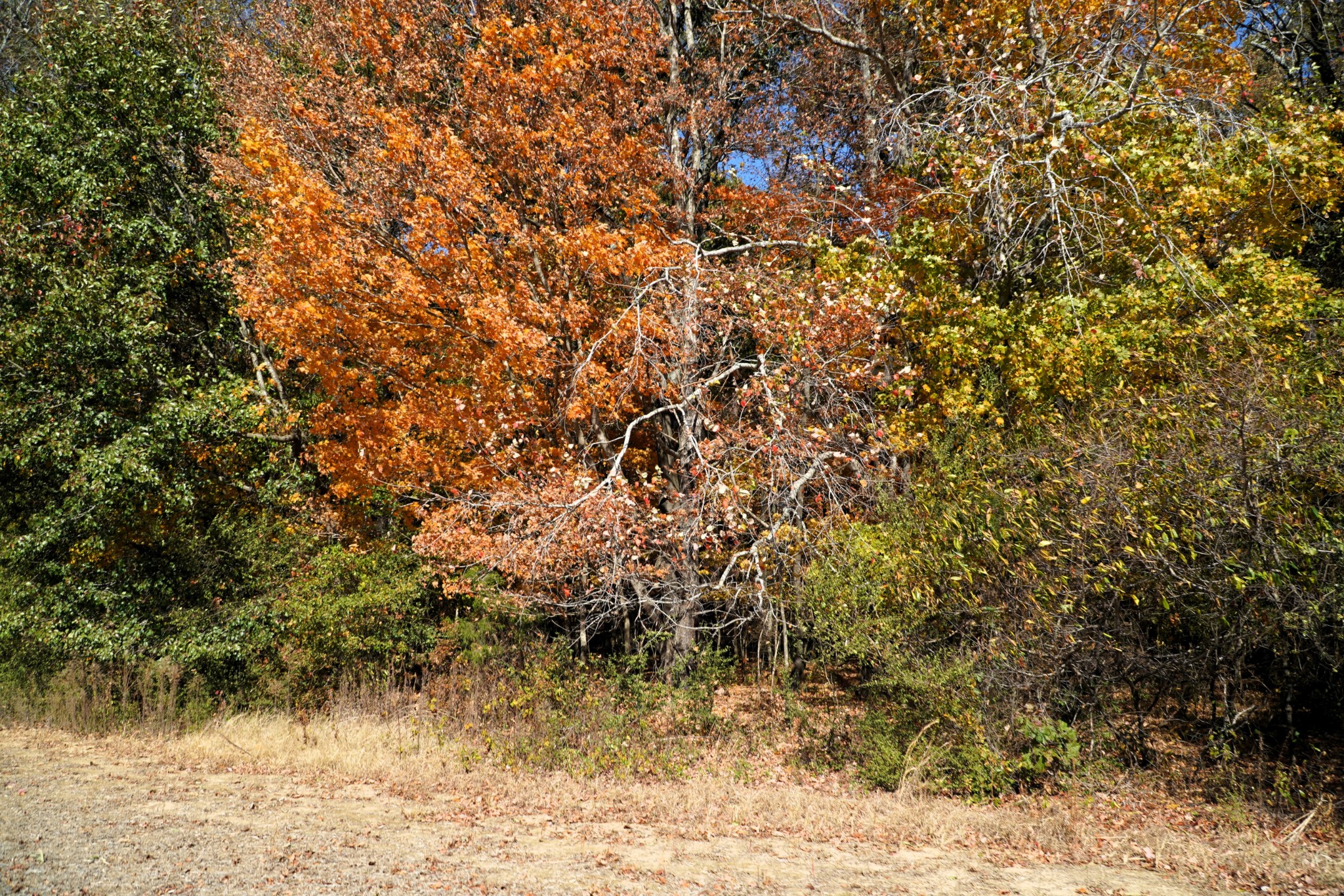 Photo 12 of 34 of 0 Lincoln Loop Rd land