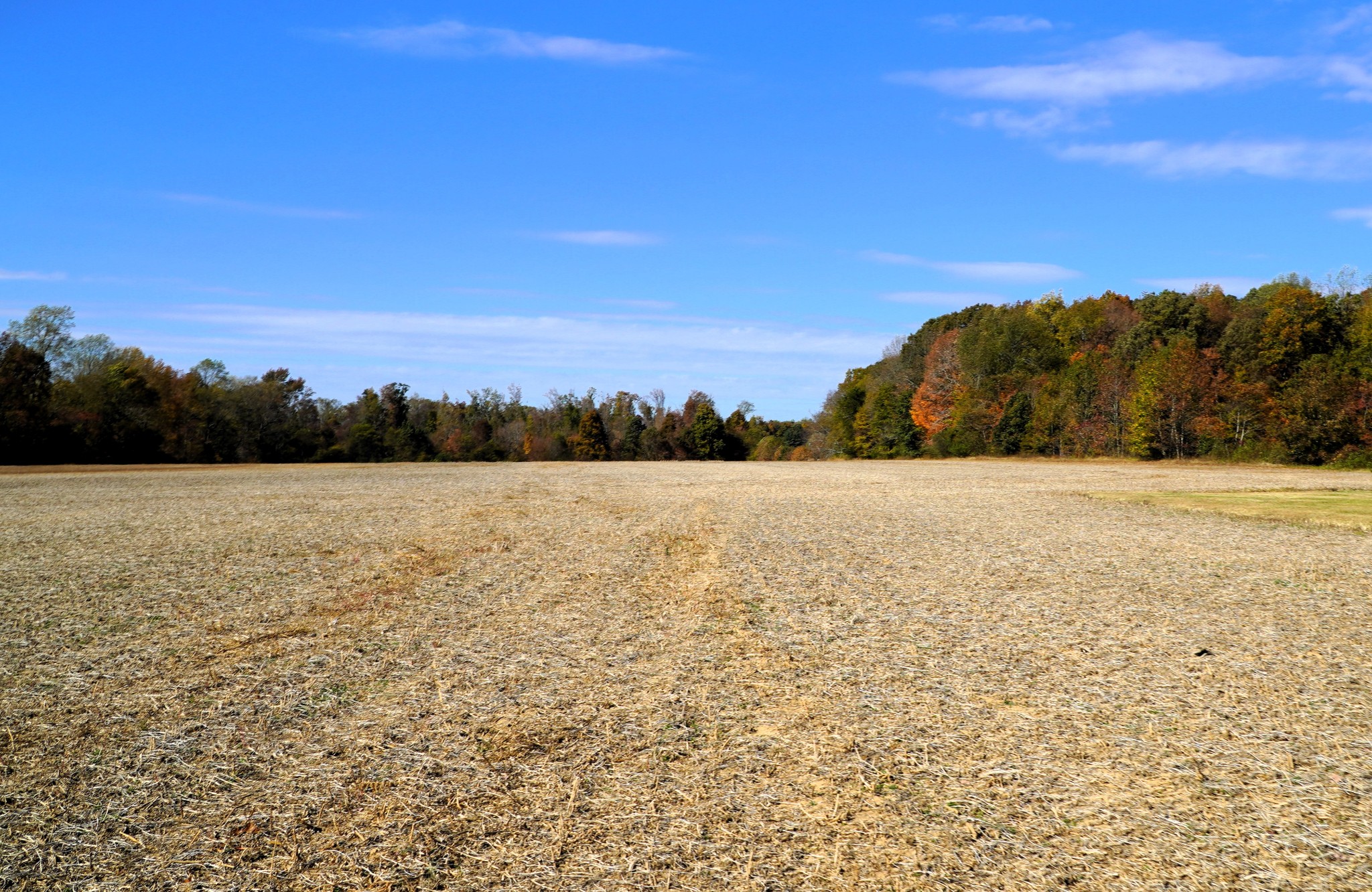 Photo 5 of 34 of 0 Lincoln Loop Rd land