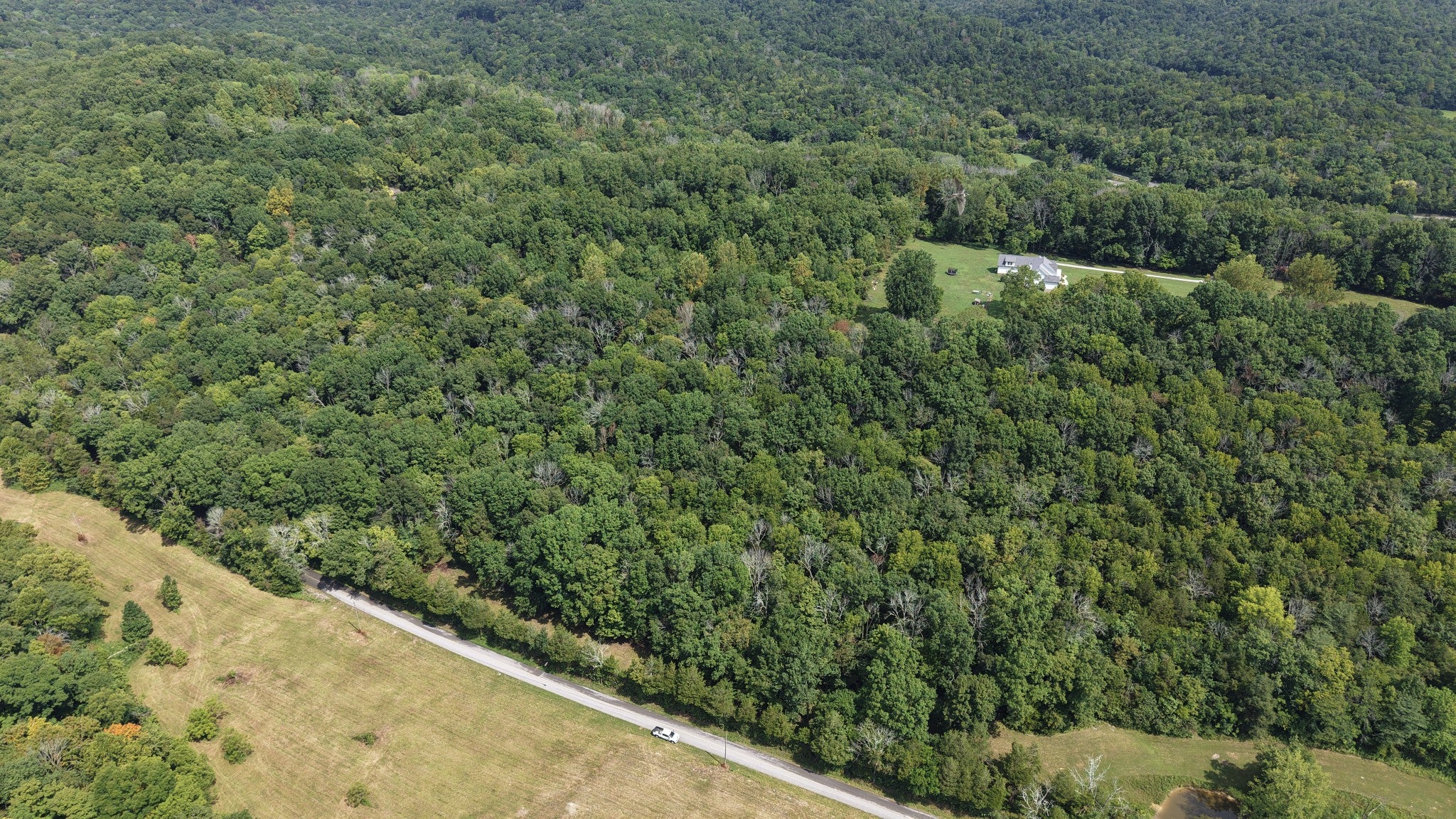 156 Madden Private Ln