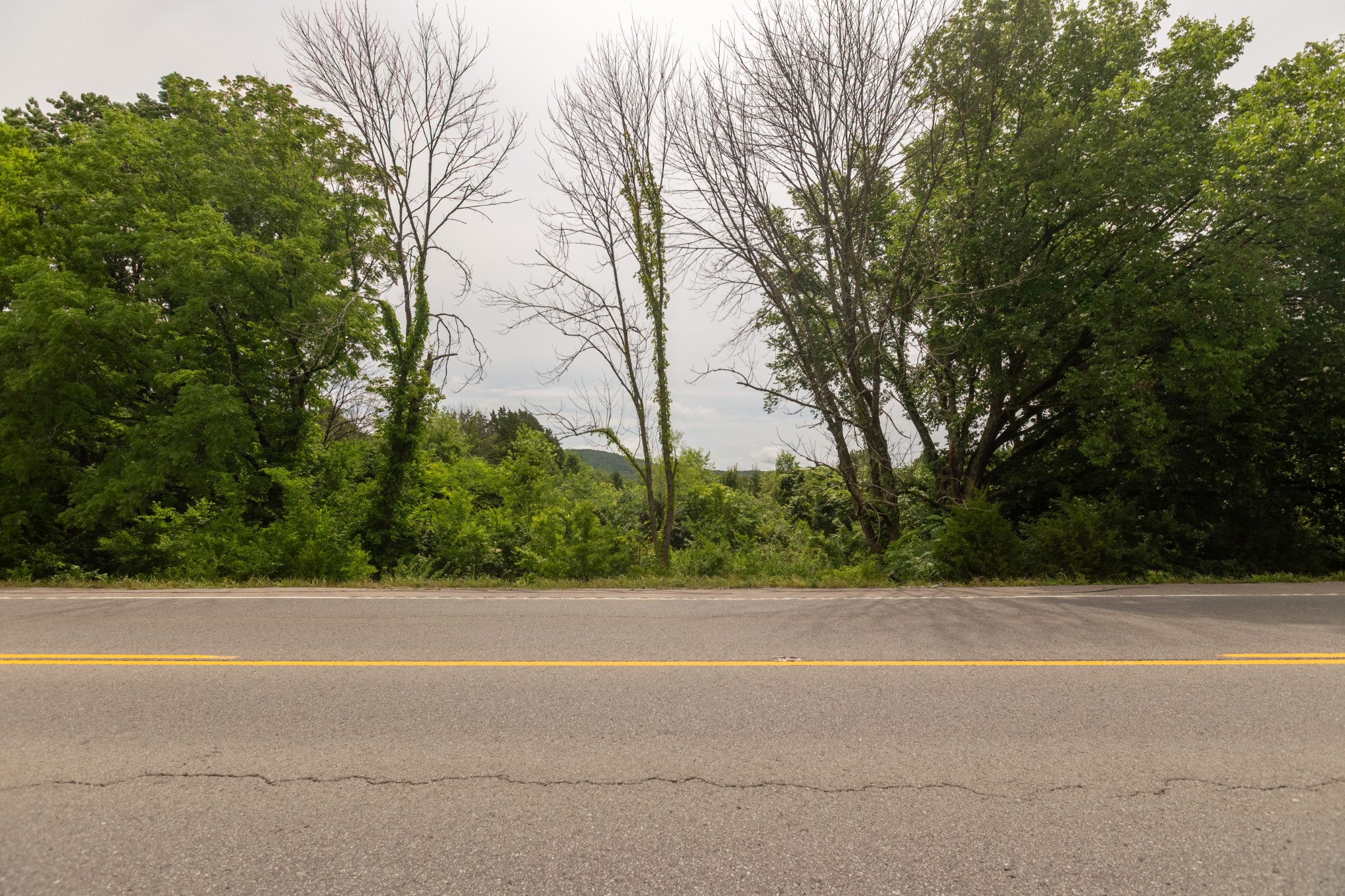 3303 Murfreesboro Rd