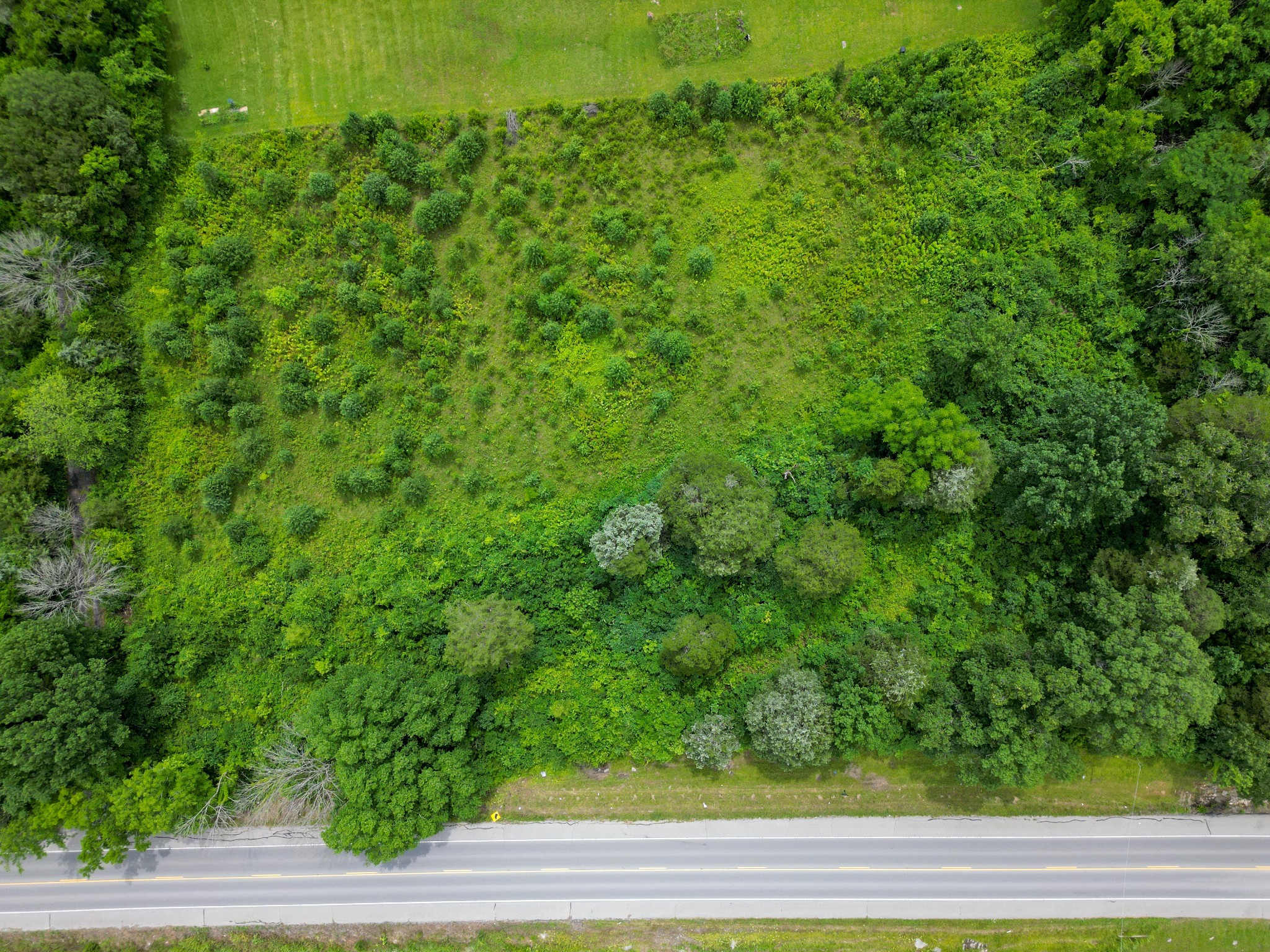 3303 Murfreesboro Rd