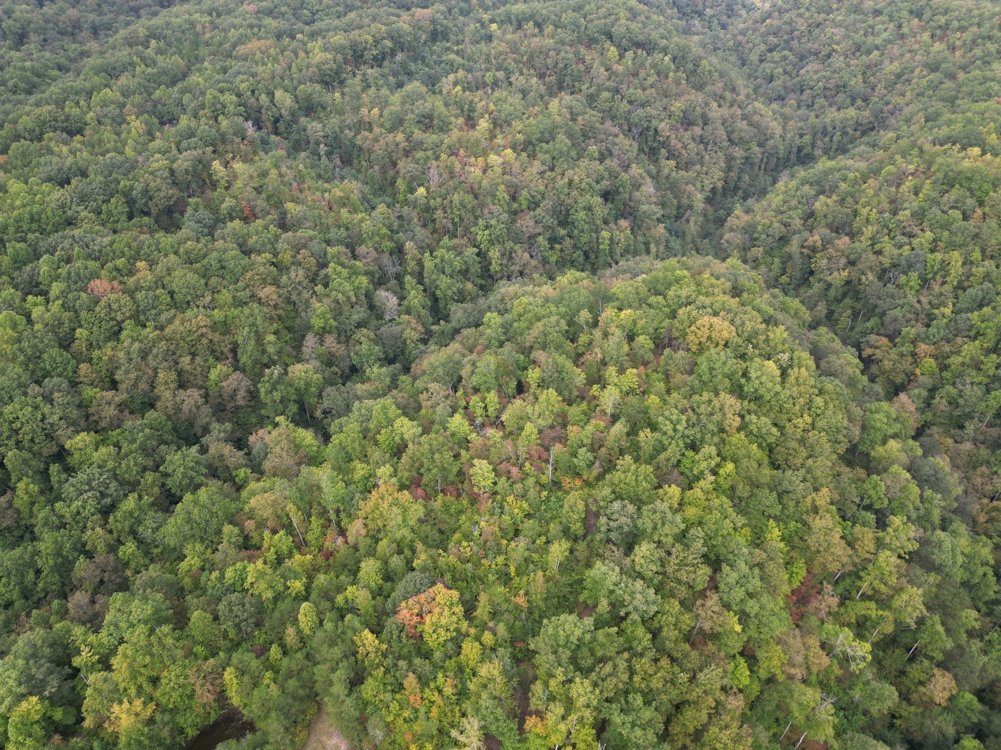 0 Eagle Creek Rd Old Eagle Creek