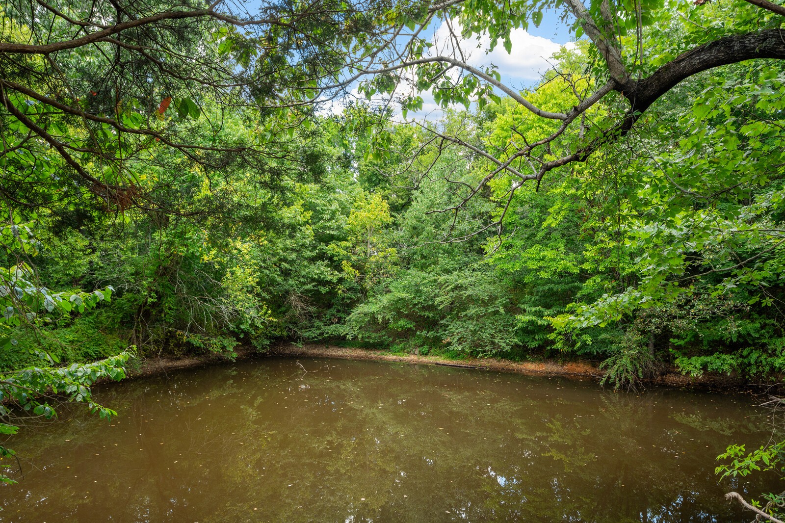 2114 Peach Orchard Rd