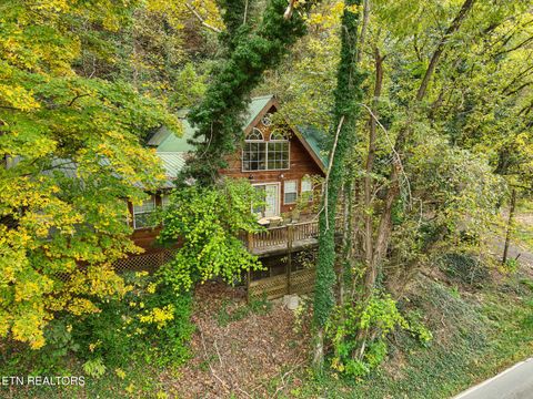 1740 Cherohala Skyway Tellico Plains TN 37385