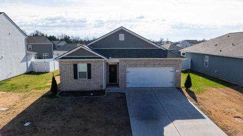 136 Olivia Cir Chapel Hill TN 37034