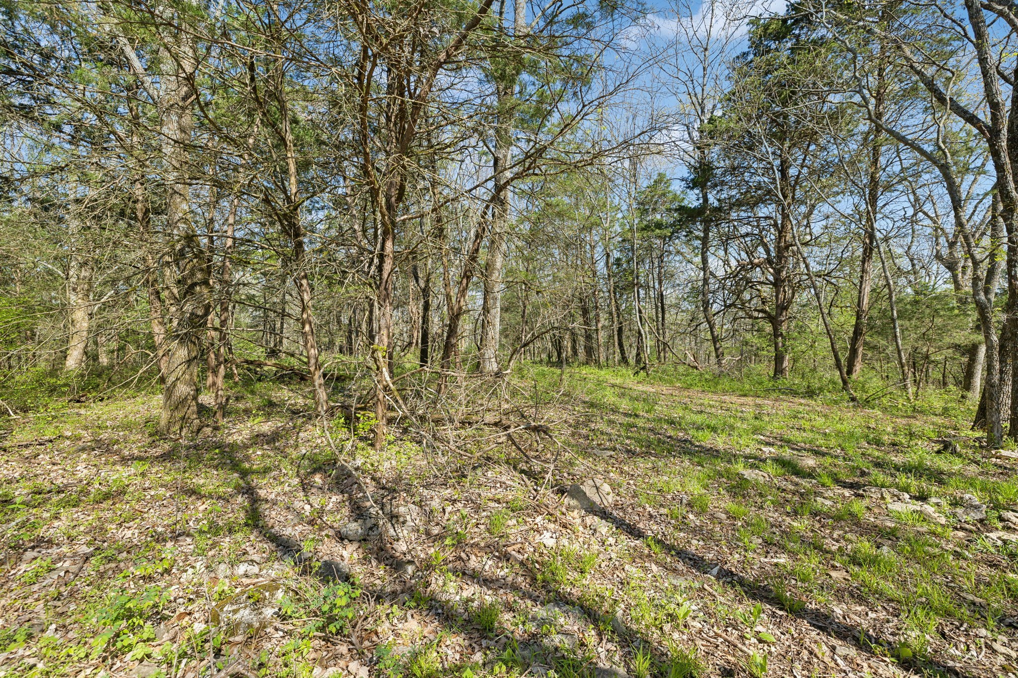 2677 York Rd