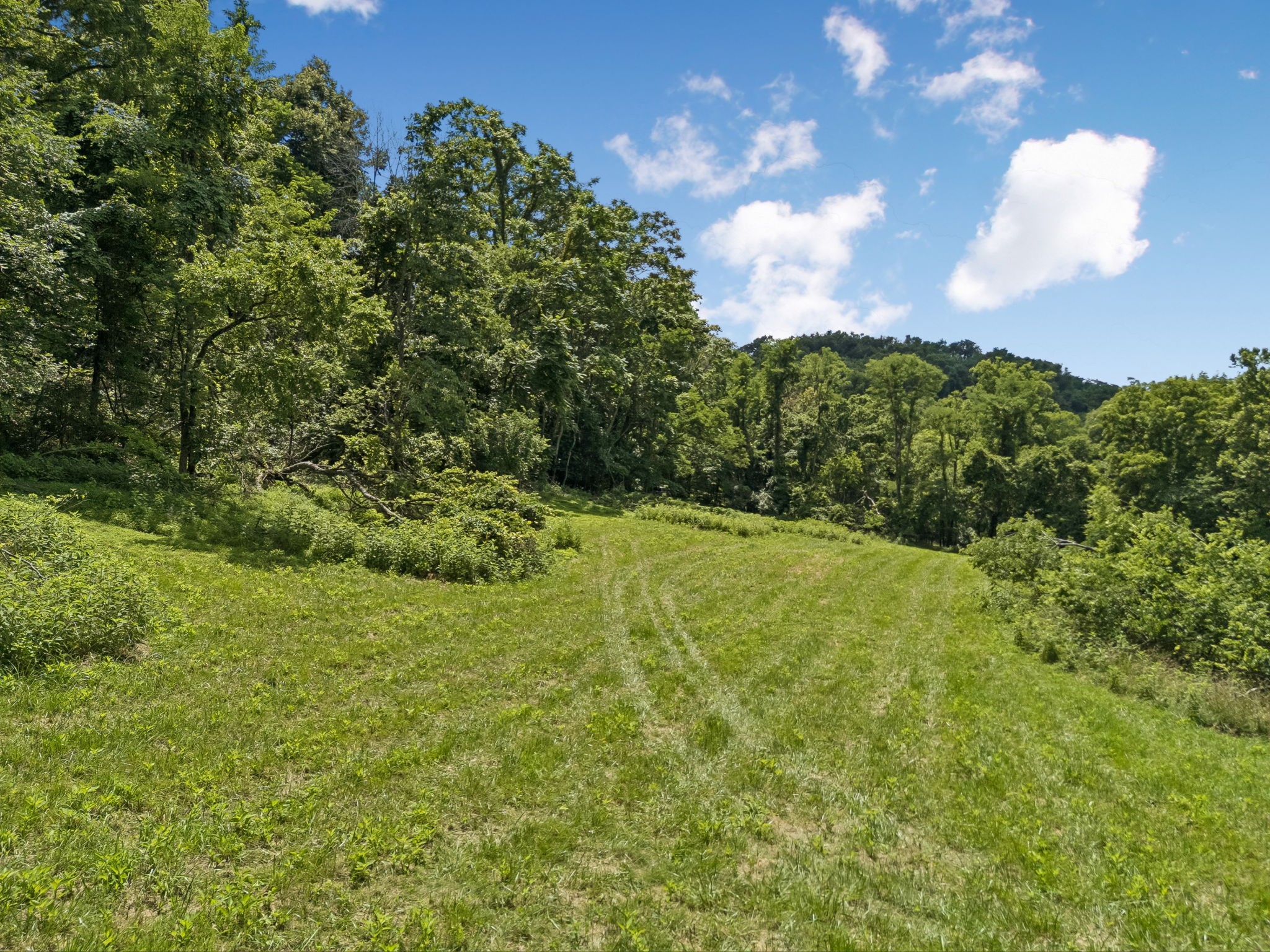 2268 N Berrys Chapel Rd, Franklin TN 37069 0-bed lot, photo 15 of 16