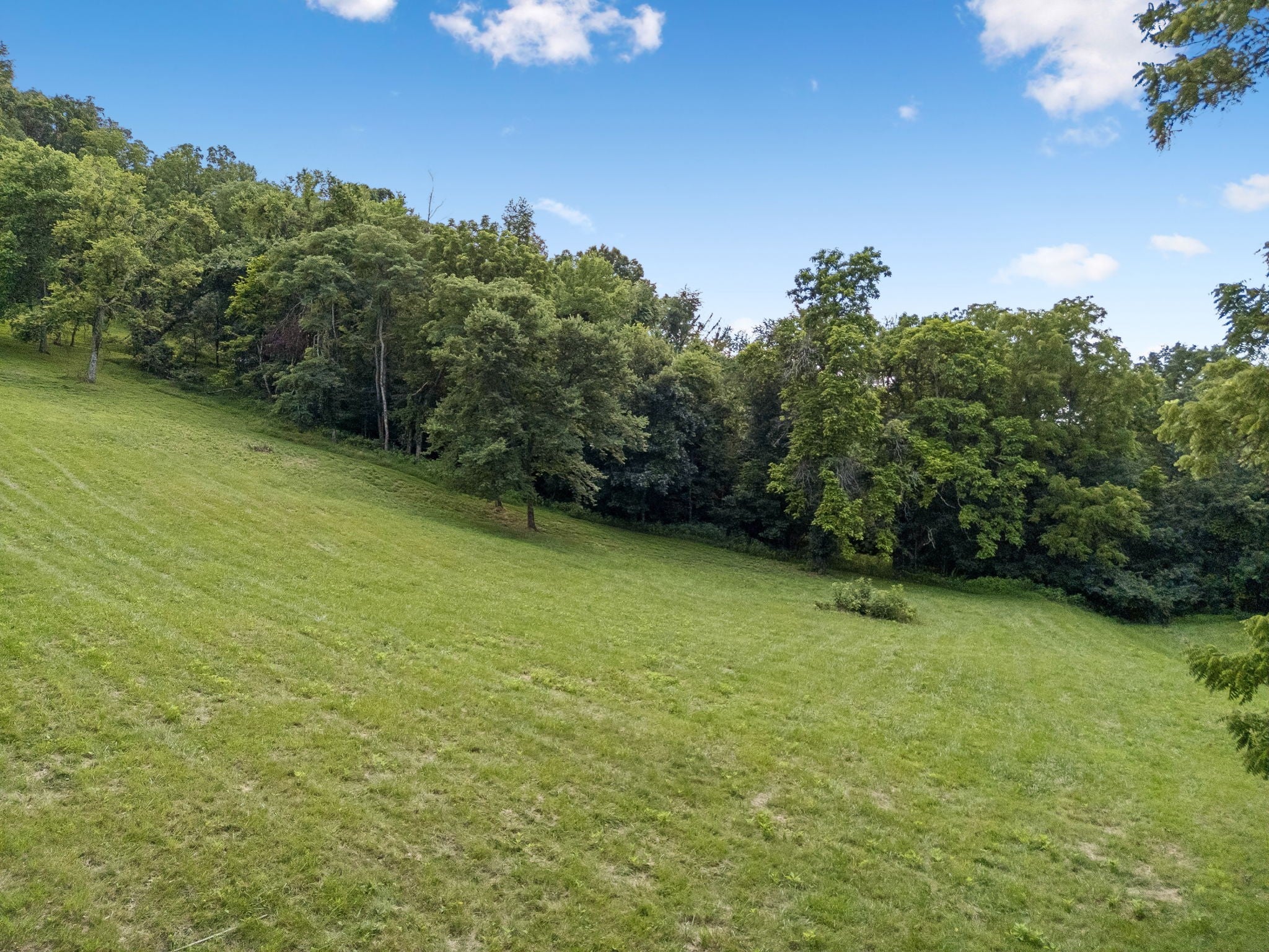 2268 N Berrys Chapel Rd, Franklin TN 37069 0-bed lot, photo 8 of 16