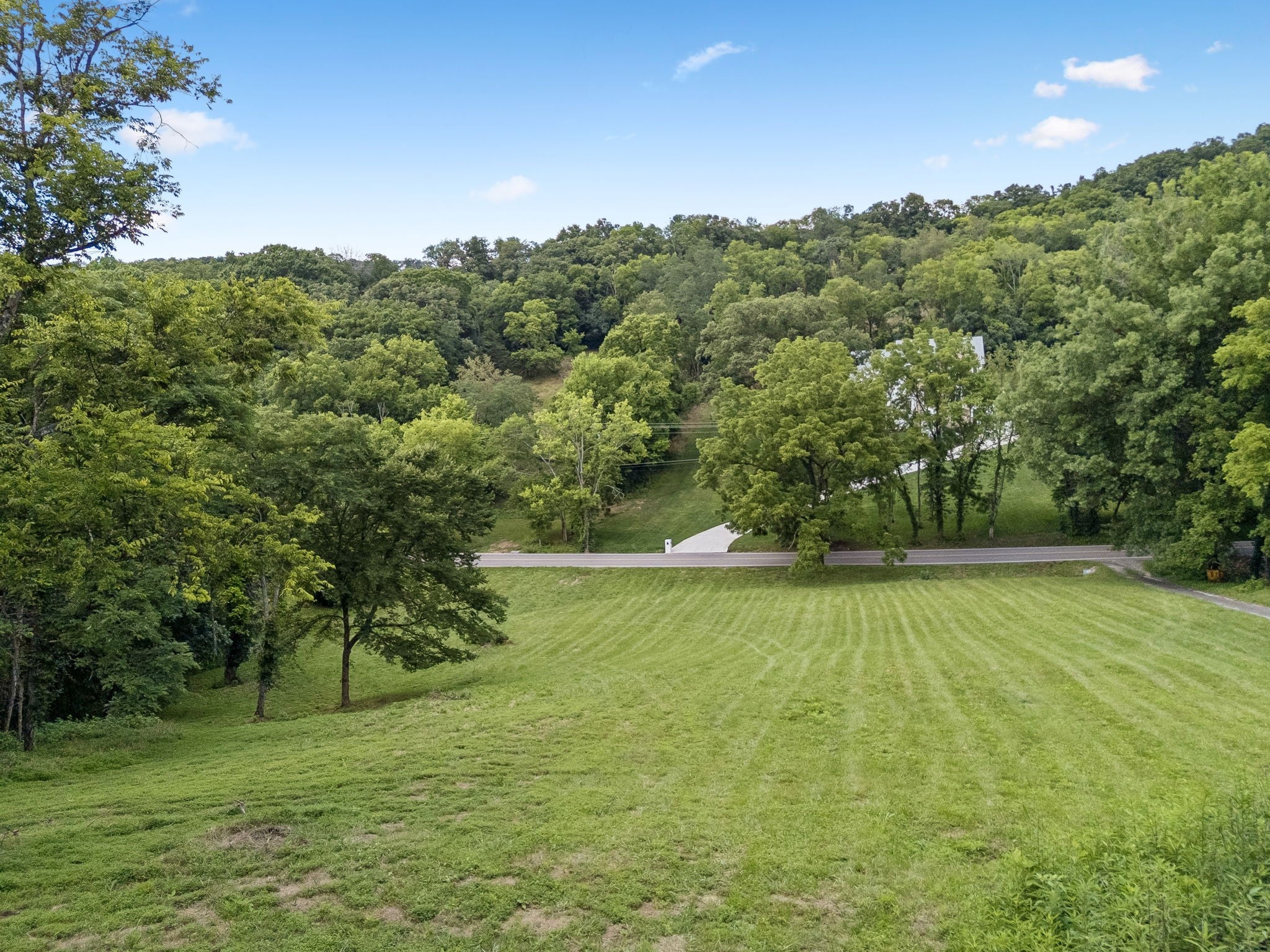 2268 N Berrys Chapel Rd, Franklin TN 37069 0-bed lot, photo 6 of 16