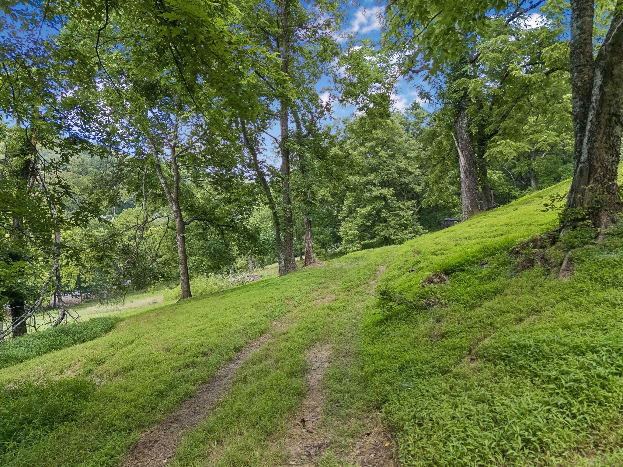 2268 N Berrys Chapel Rd, Franklin TN 37069 0-bed lot, photo 13 of 16