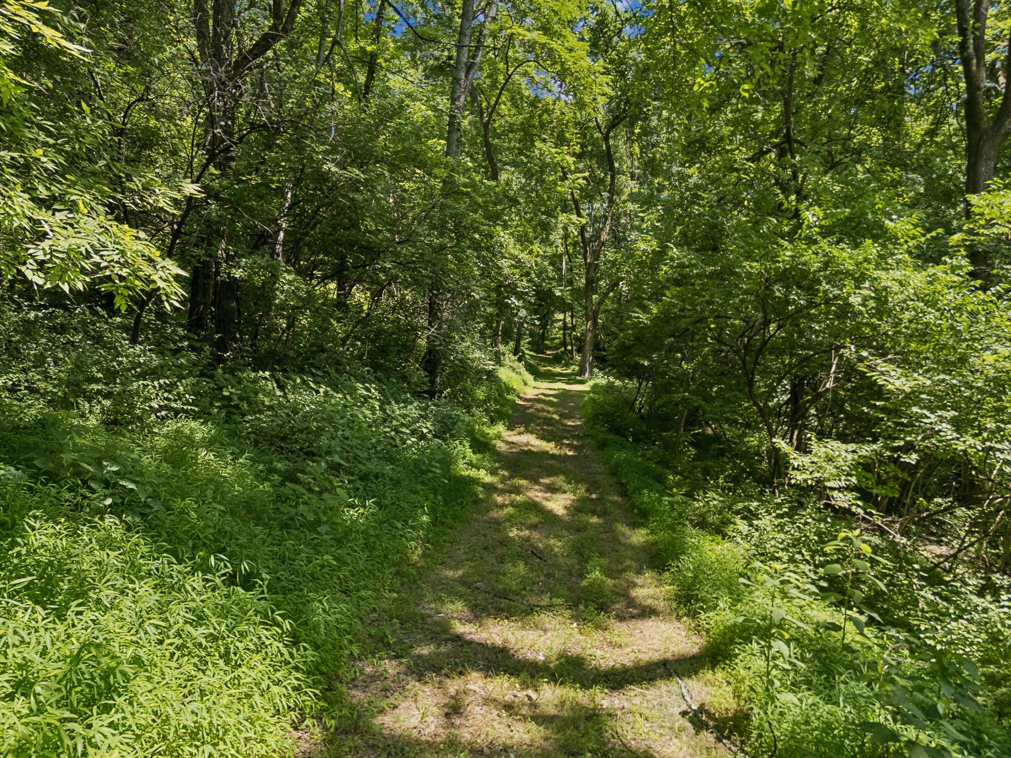 2268 N Berrys Chapel Rd, Franklin TN 37069 0-bed lot, photo 14 of 16