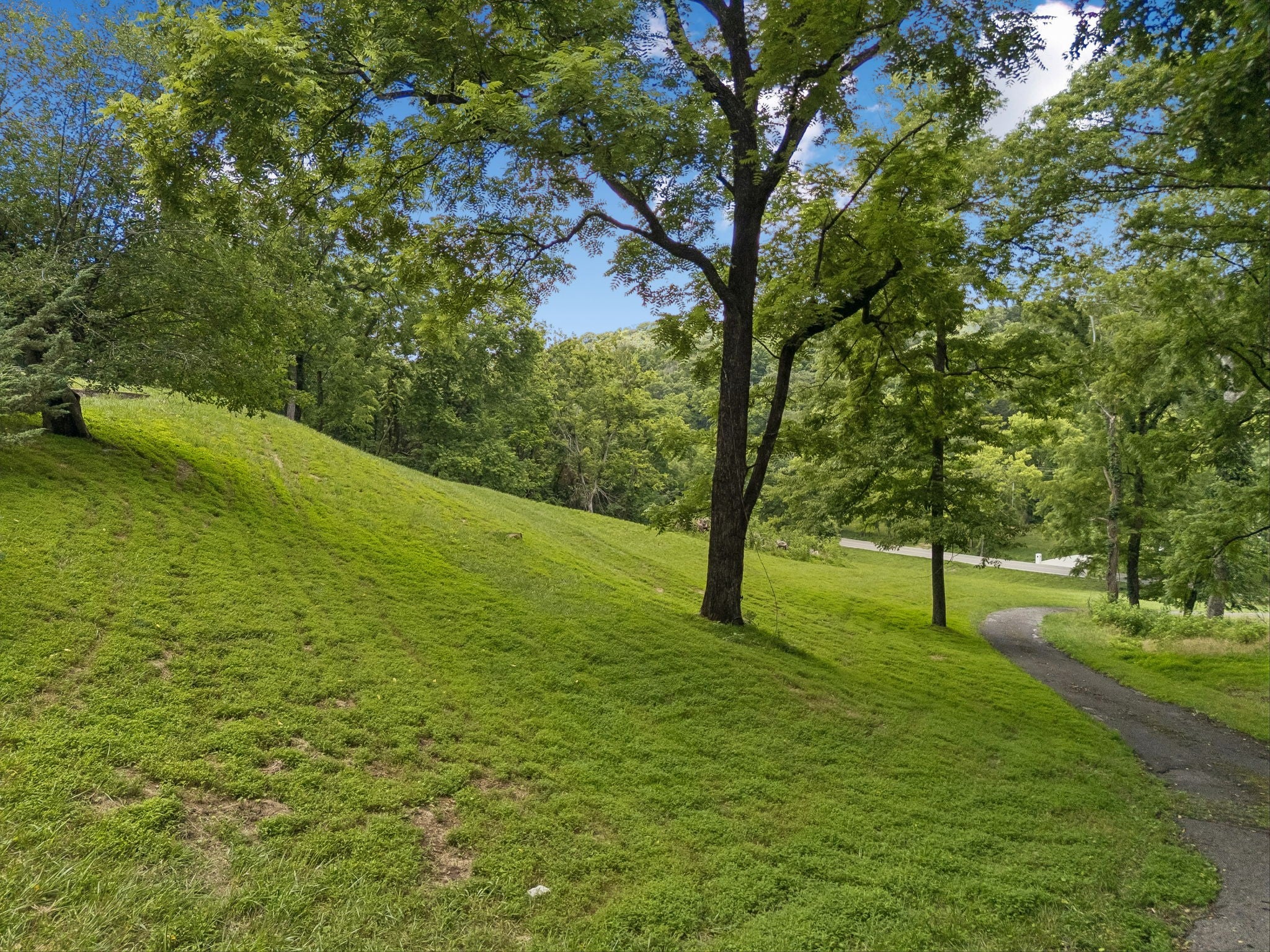 2268 N Berrys Chapel Rd, Franklin TN 37069 0-bed lot, photo 7 of 16