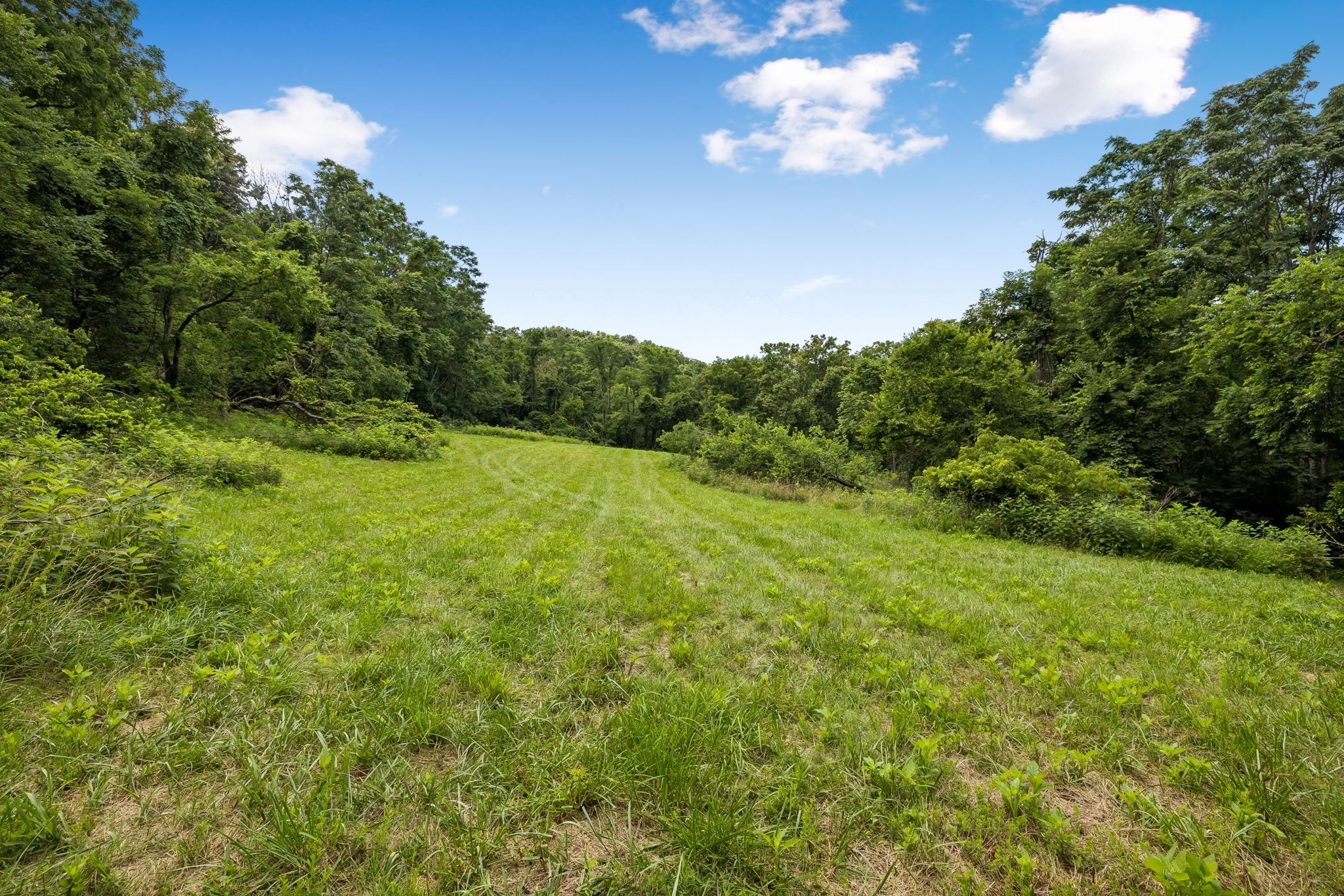 2268 N Berrys Chapel Rd, Franklin TN 37069 0-bed lot, photo 16 of 16
