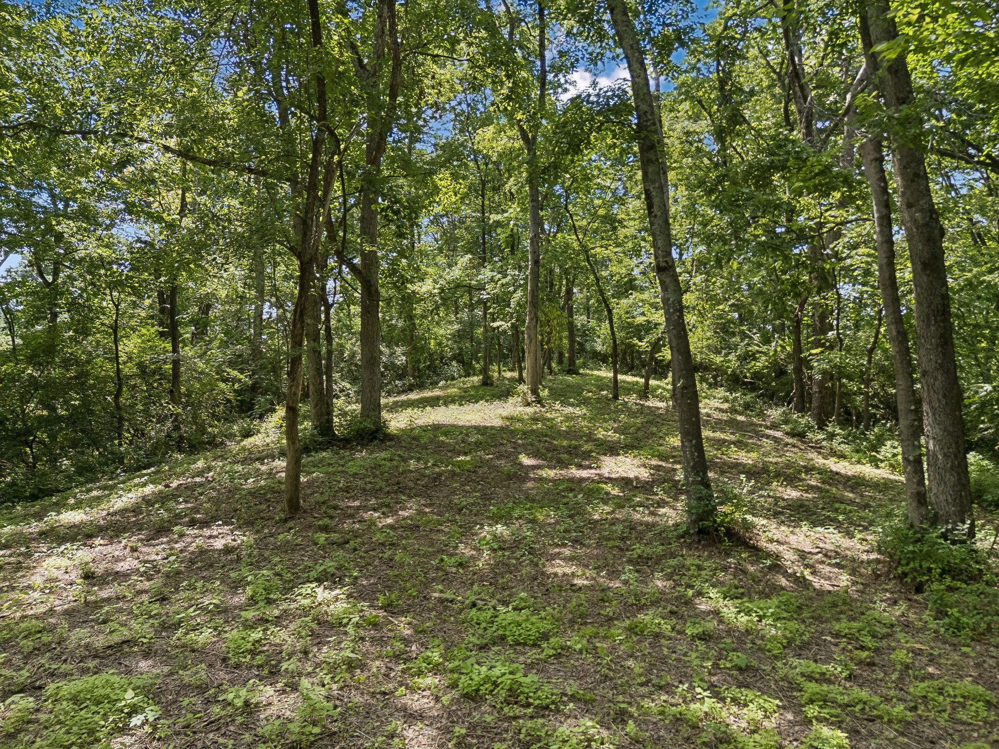 2268 N Berrys Chapel Rd, Franklin TN 37069 0-bed lot, photo 11 of 16