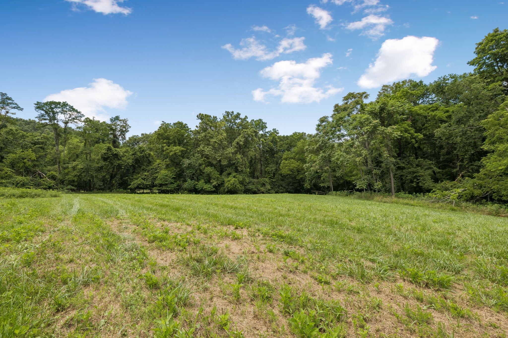 2268 N Berrys Chapel Rd, Franklin TN 37069 0-bed lot, photo 10 of 16