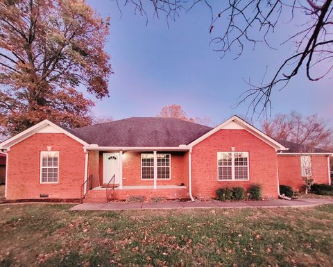 209 Taylor Creek Ln, Chapel Hill, TN 37034 - MLS#: 2762209