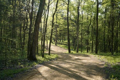 0 Gilliam Ln Columbia TN 38401