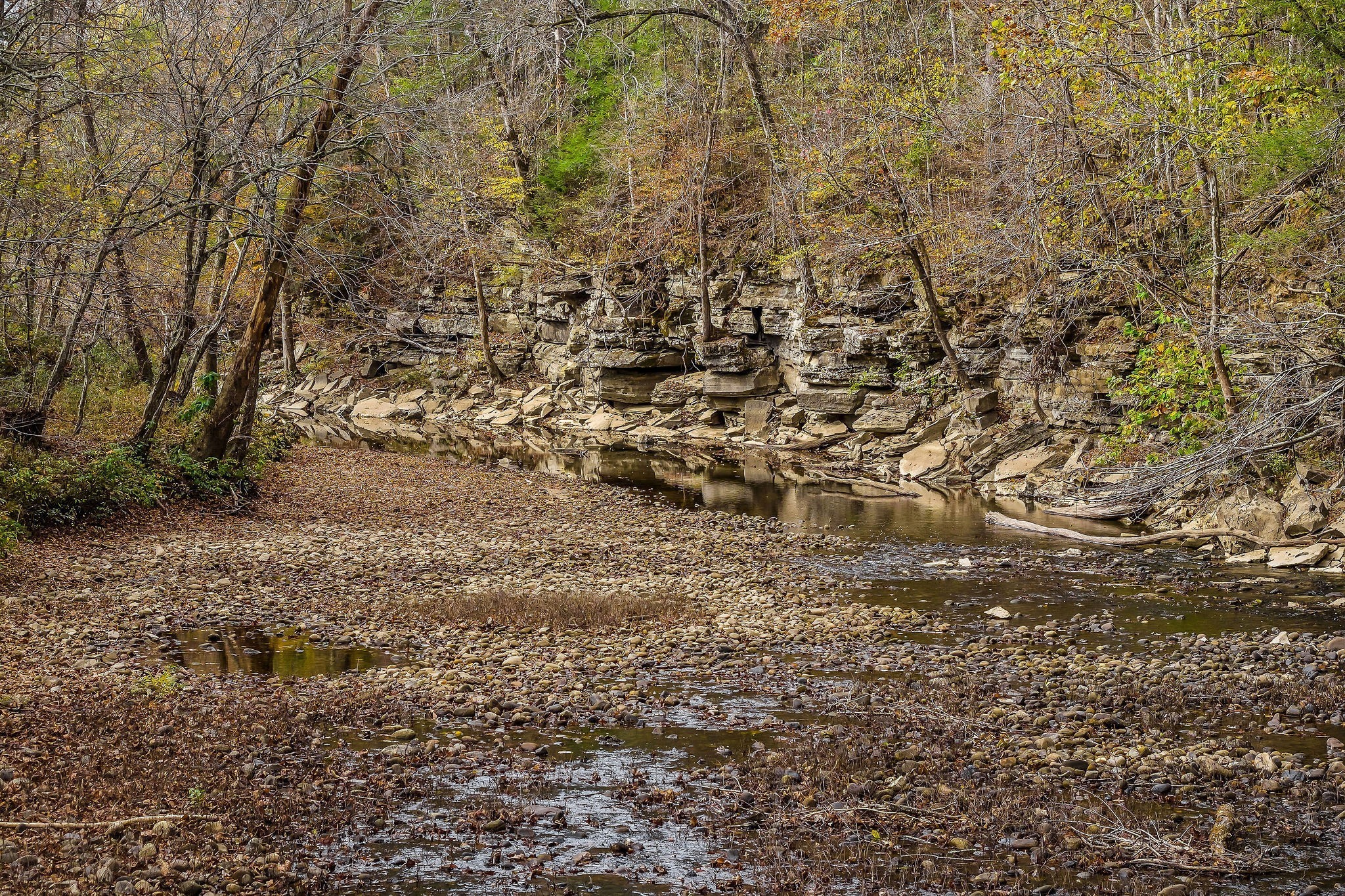 2339 Cane Creek Cummingsville Rd