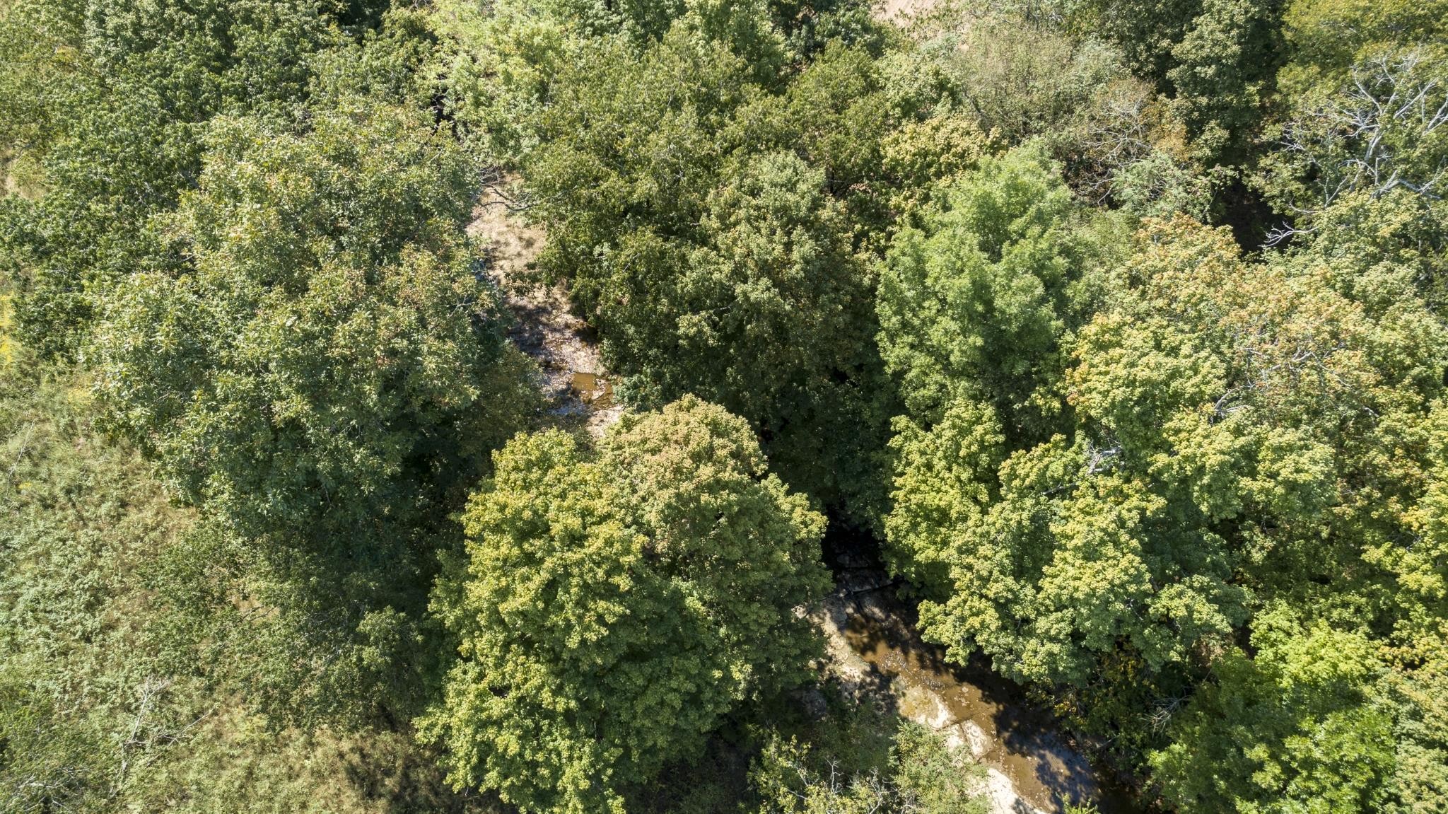 2762 Critz Ln
