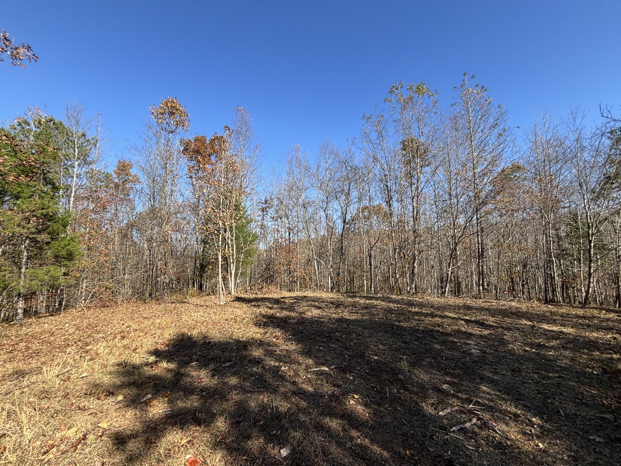 1212 Second Creek Rd