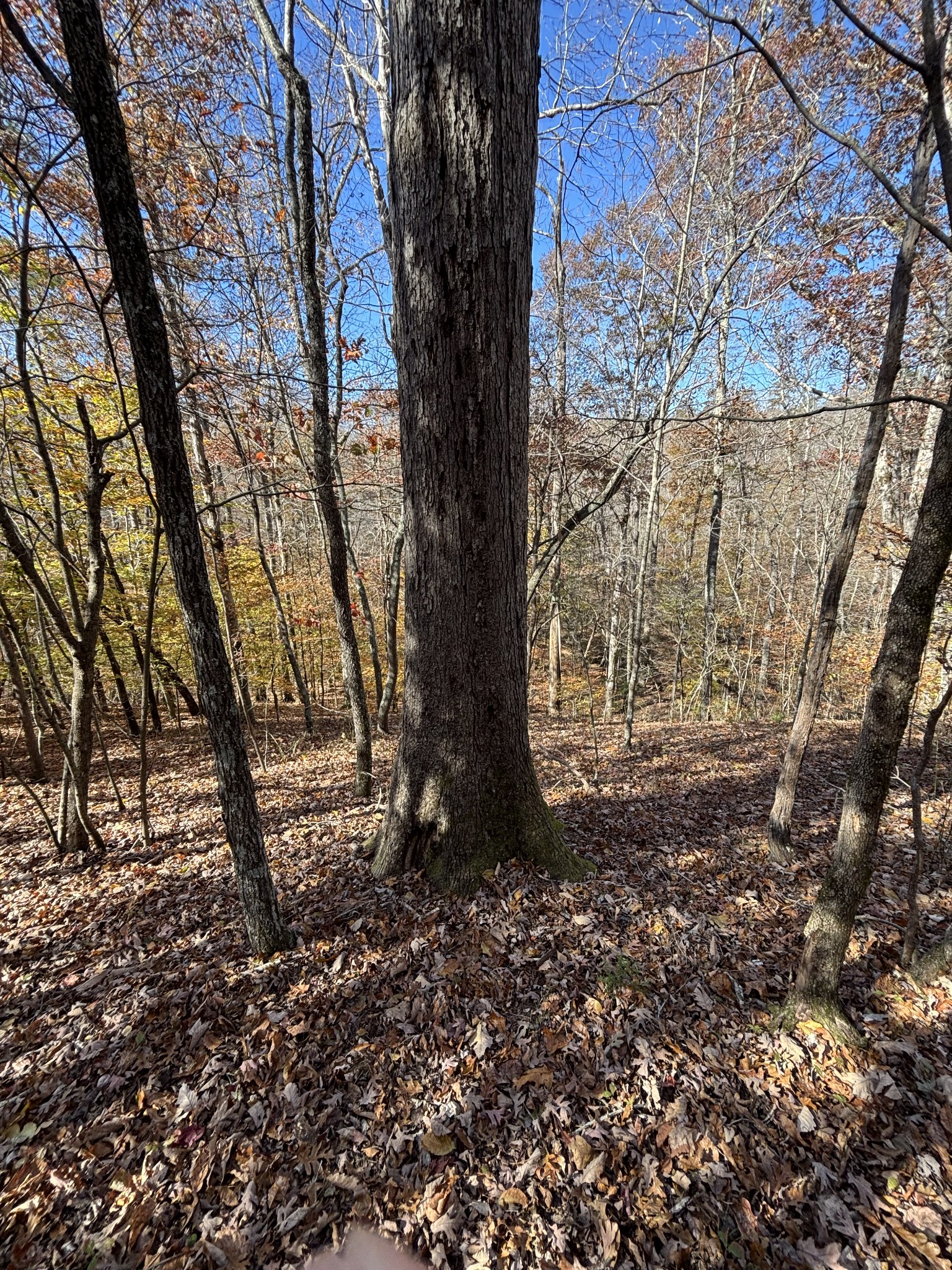 1212 Second Creek Rd