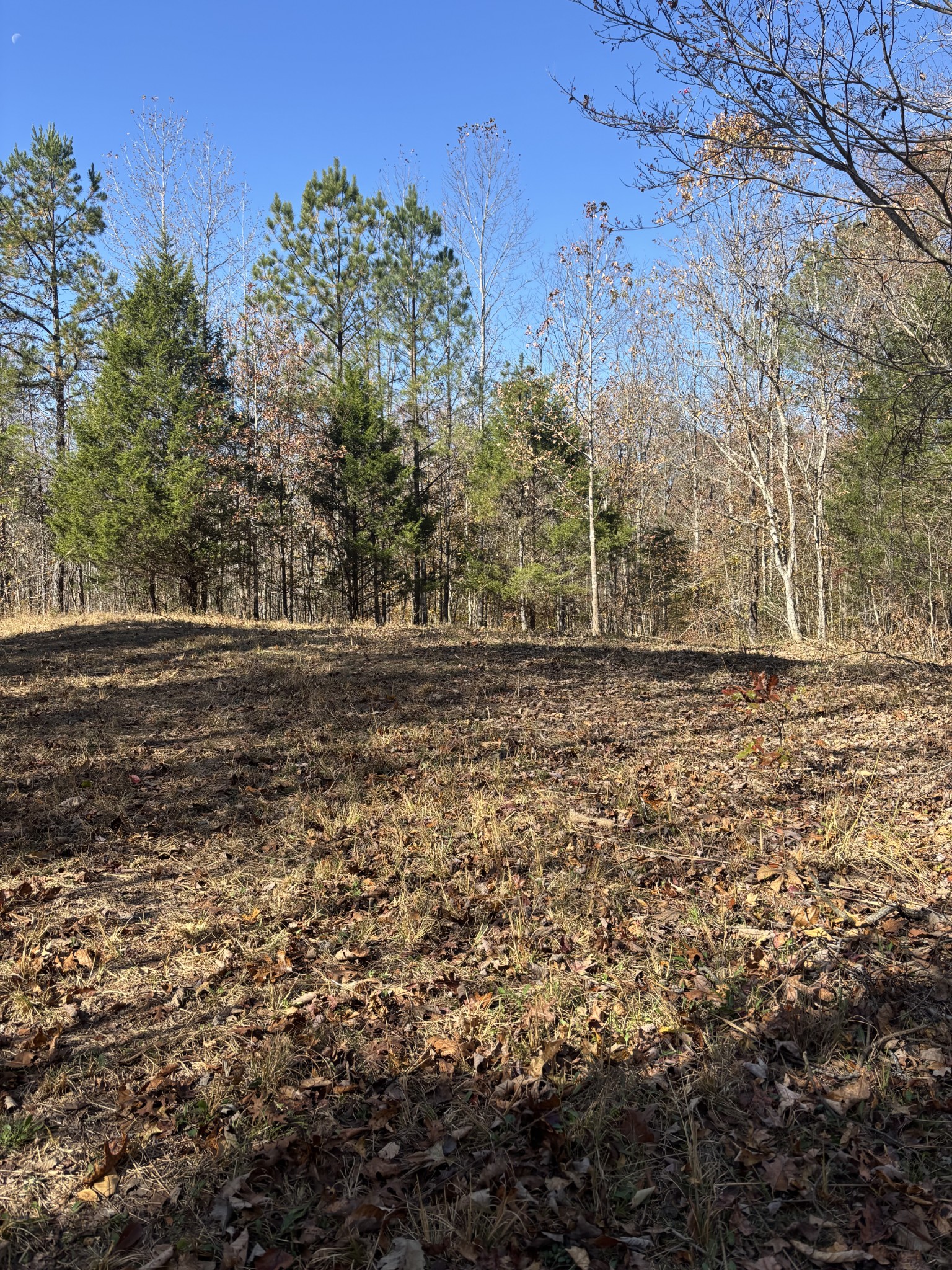 1212 Second Creek Rd