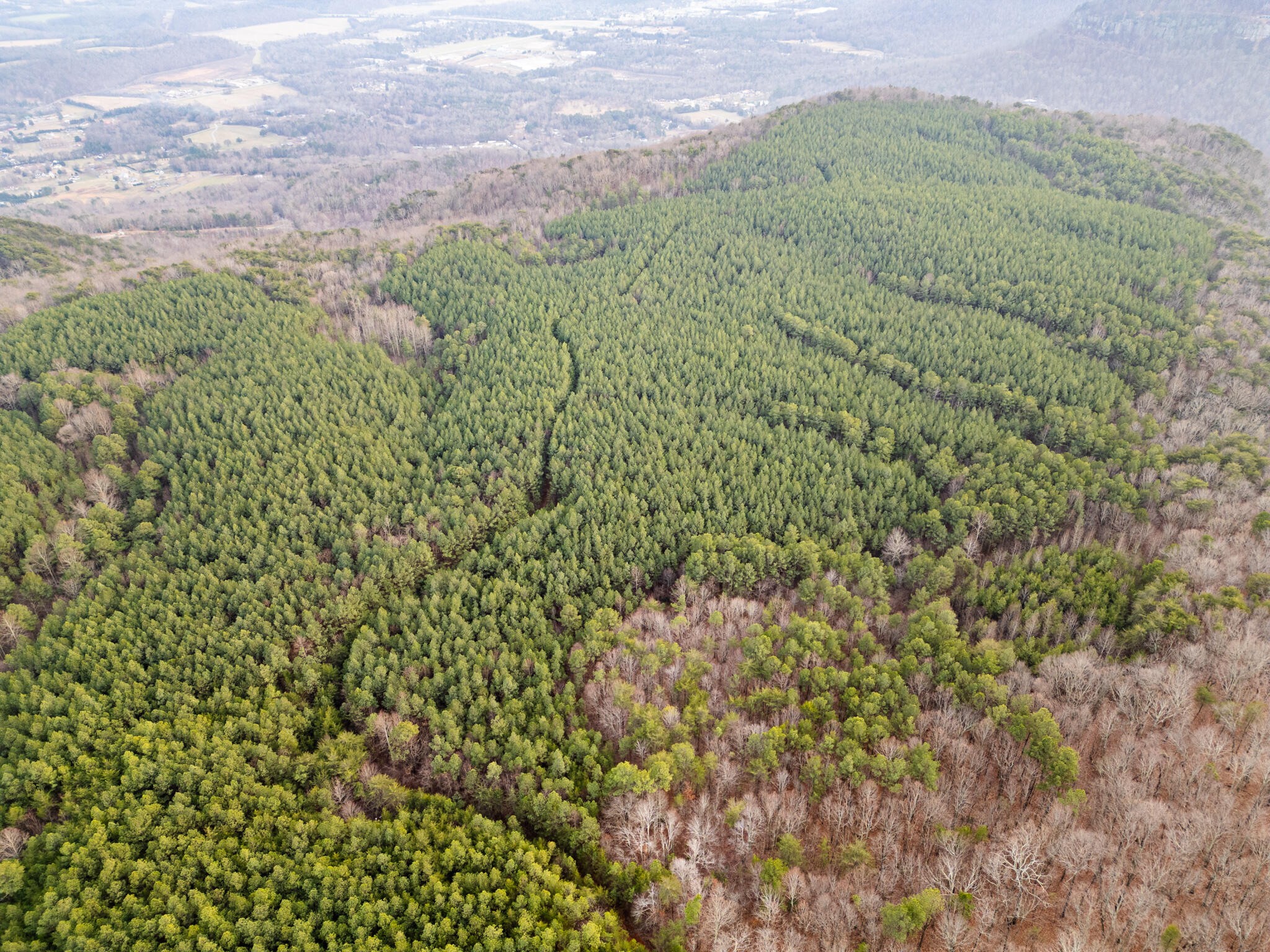 2900300 Smith Mountain