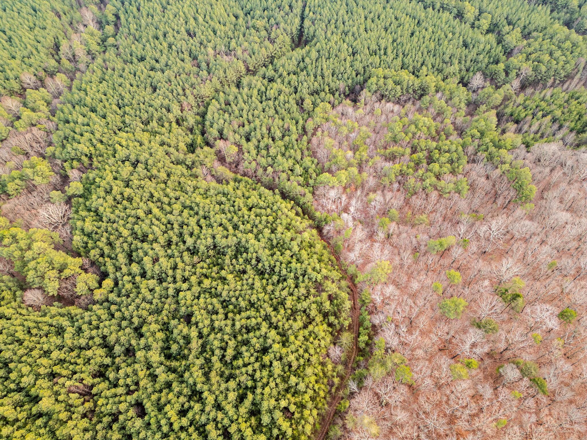 2900300 Smith Mountain