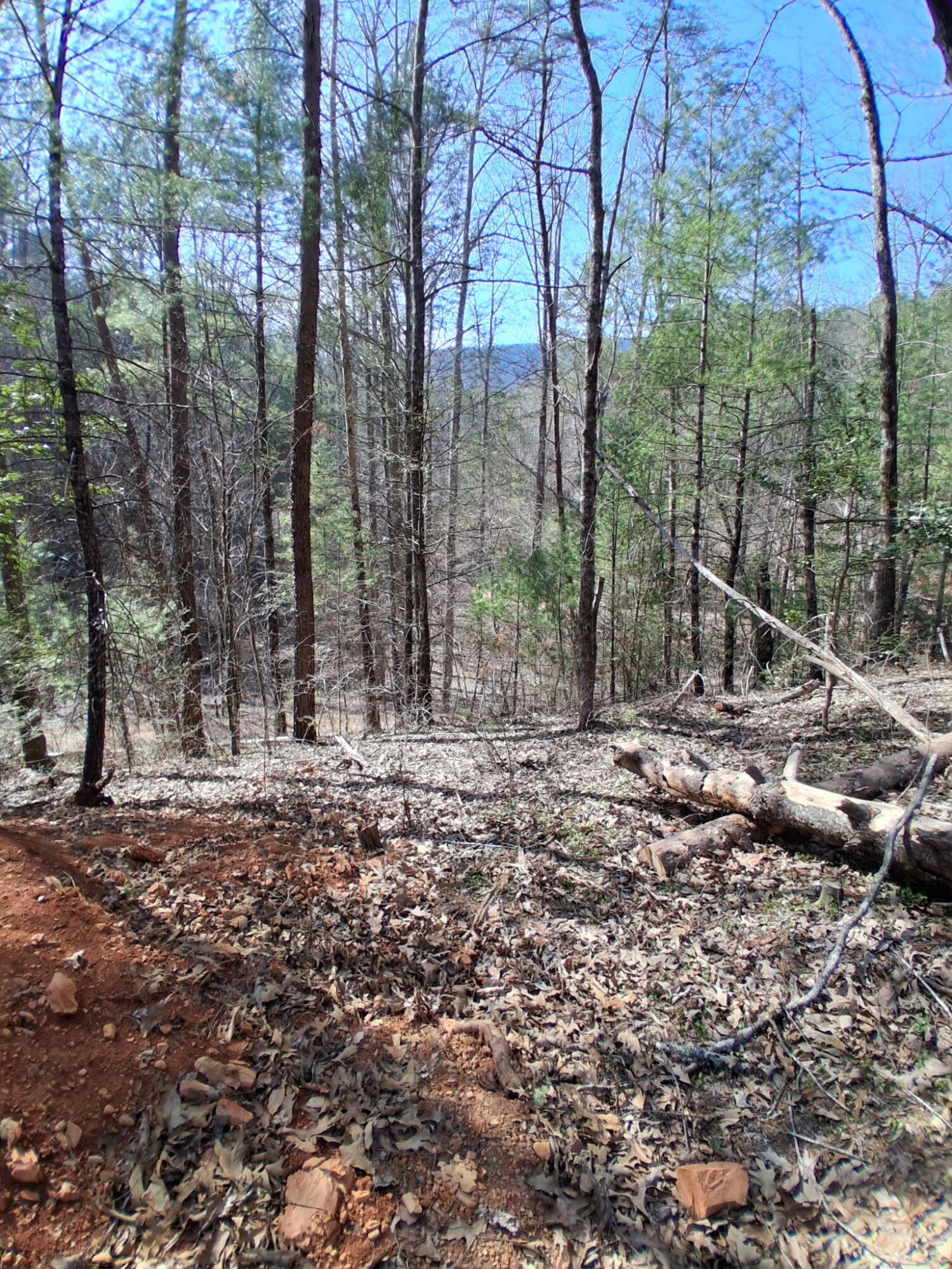 0 Tinker Branch Road