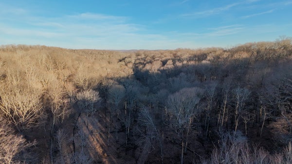 1843D GARRISON BRANCH RD, COTTONTOWN, TN 37048 - Image f77a4a70fea94a4d9eac0f4b6b64ce6b/2559999421