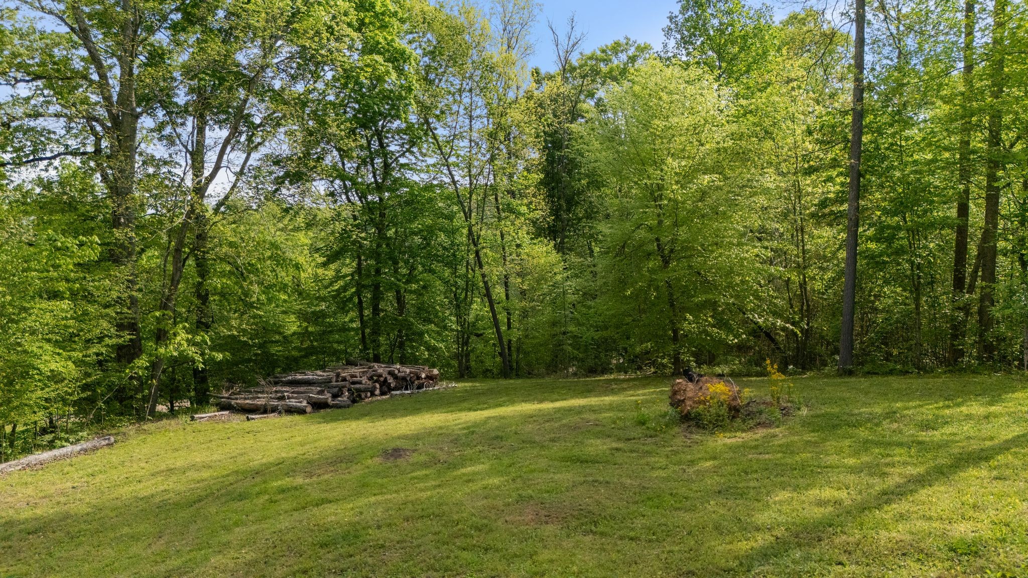 2113 Coolidge Rd
