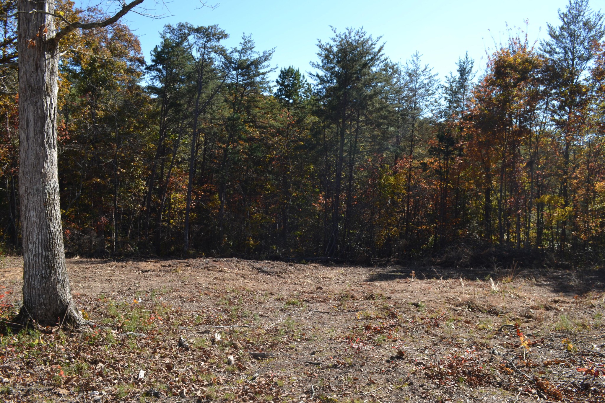 16 Countryside Drive