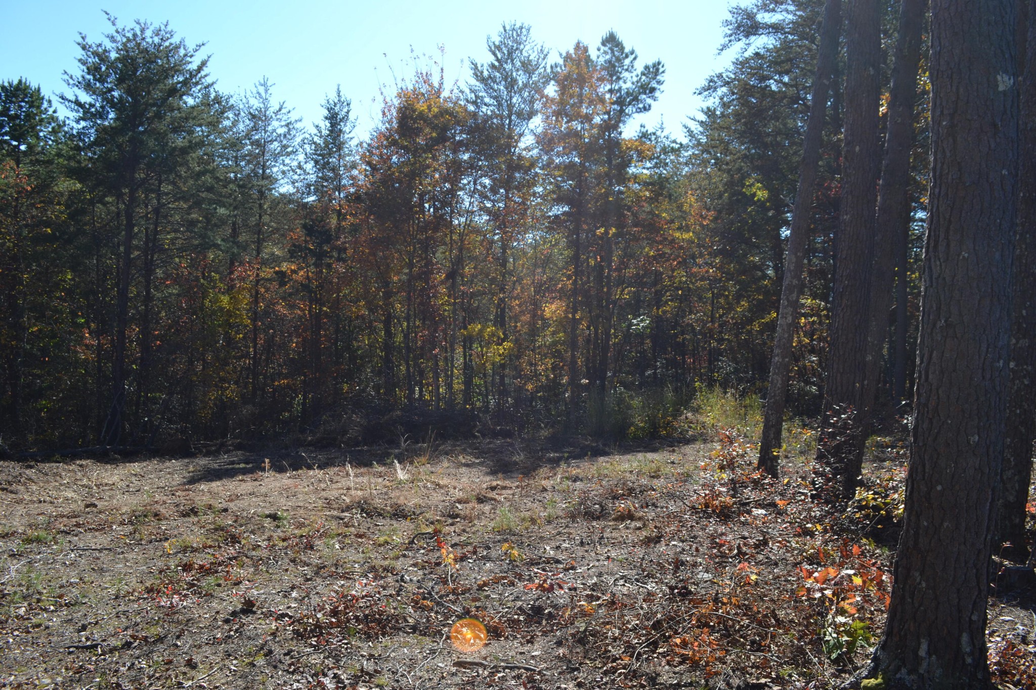 16 Countryside Drive