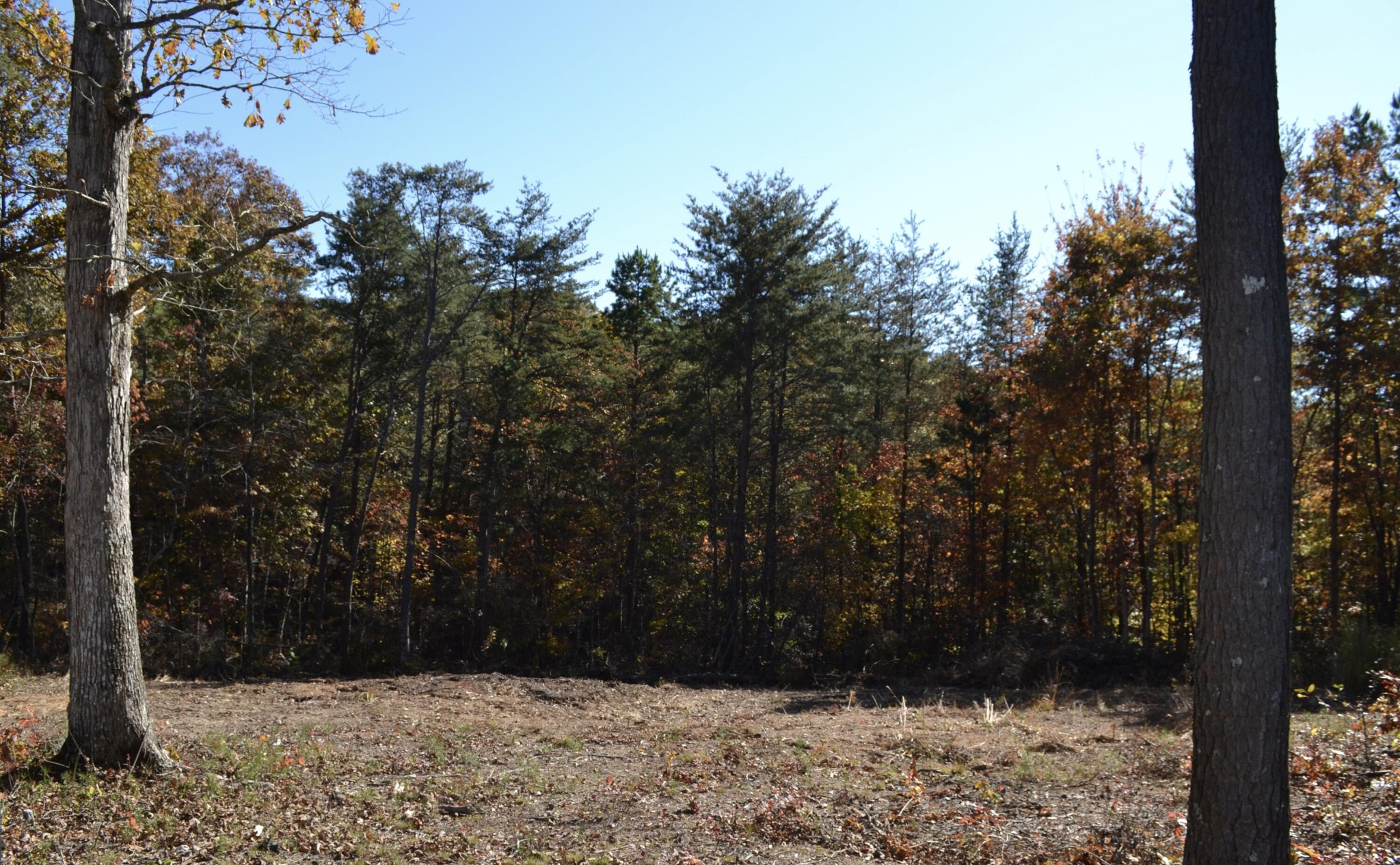 16 Countryside Drive