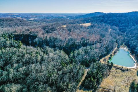 0 Red Tuttle Road Bethpage TN 37022